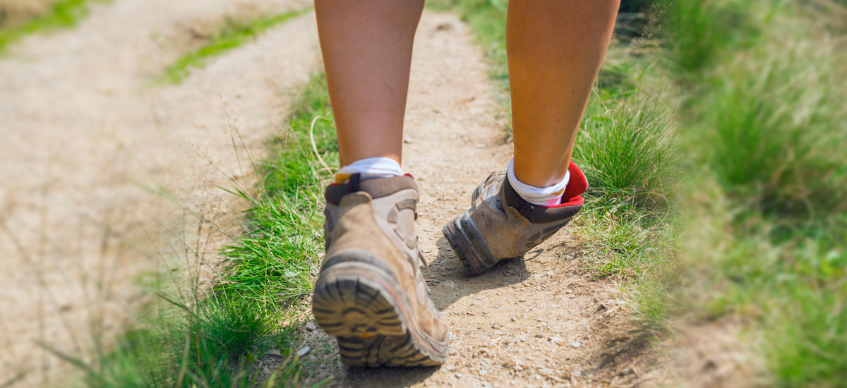 پیچ خوردگی مچ پا